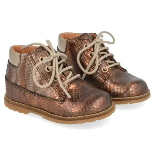 veterboot brons